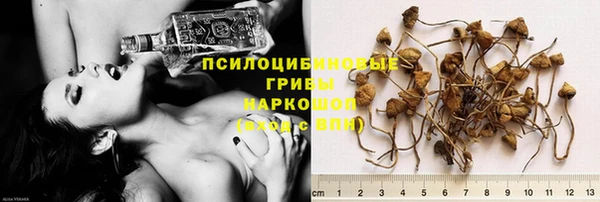 круглые Аркадак