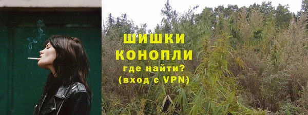 круглые Аркадак